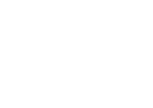 2015_PLUS_Logo_V4_ALLWhite